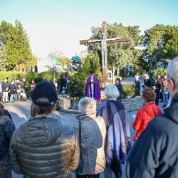 Erzdiözese Wien/Schönlaub