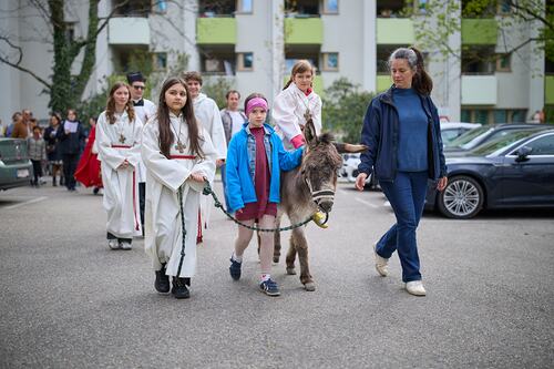 Palmsonntag Pfarre Heilige Mutter Teresa / Erzdiözese Wien/Feuchtner