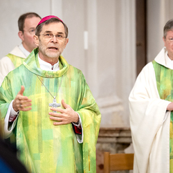 Erzdiözese Wien/Schönlaub